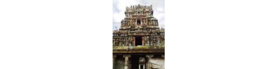 152. திருவாரூர்பரவையுண்மண்டளி
